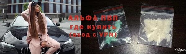 спиды Инсар