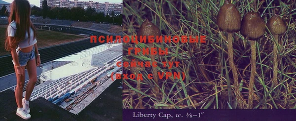 ECSTASY Дмитровск