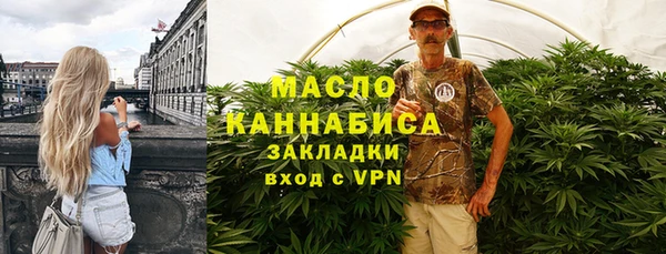 прущие грибы Елабуга