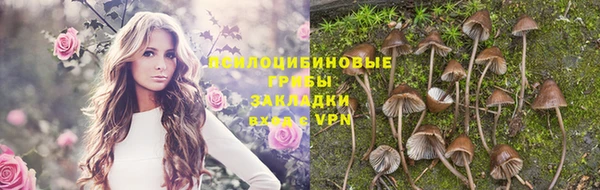 марки nbome Алексеевка