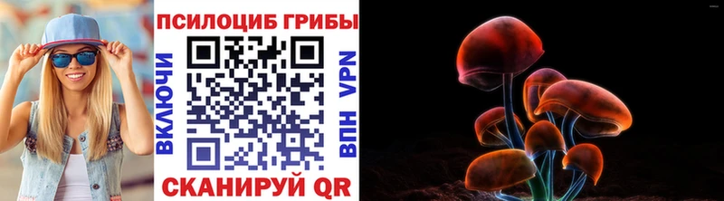Псилоцибиновые грибы MAGIC MUSHROOMS  купить наркотик  ссылка на мегу онион  Красноуральск 
